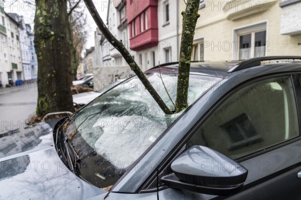 North Rhine-Westphalia, Germany, storm damage, a good 4 metre long branch was broken off by the