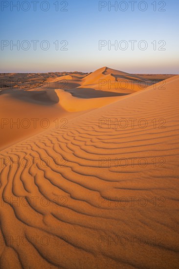 Sand dunes in the desert, near Duqm, Oman, Asia