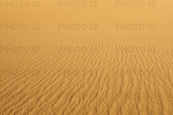 View of a vast desert landscape with undulating sand patterns, sand dunes in a desert under a clear