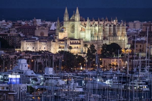 Panorama of Palma de Majorca, Bay of Palma, with the marina and the Cathedral of St Mary, Balearic