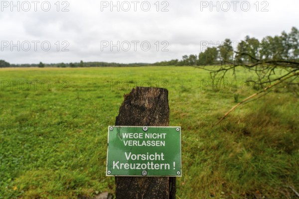 The Pietzmoor, raised bog in the Lüneburg Heath nature reserve, warning of adder snakes, near