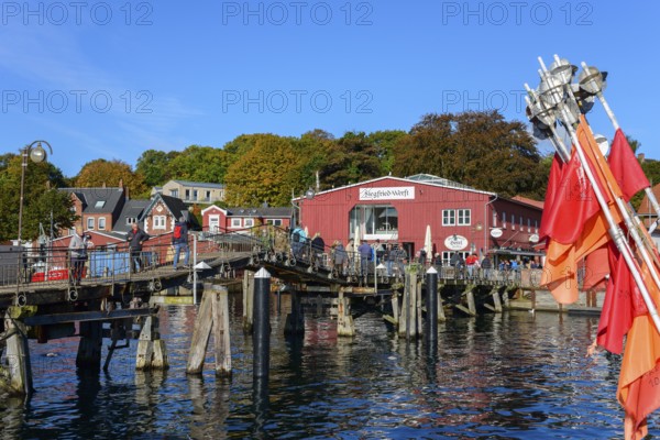 Sunlit harbour with boats and moorings in front of small colourful buildings, wooden bridge and