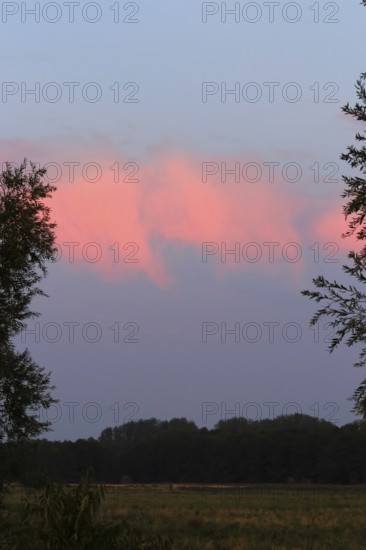 Evening sky at the Baltic Sea near Peenemünde, September, Mecklenburg-Western Pomerania, Germany,