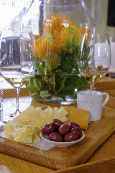 Wine tasting, Oldenburg Wine Estate, Oldenburg Vineyards, Banghoek, Stellenbosch, Western Cape,