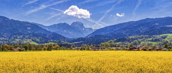 Mountain landscape with yellow flower field and a small village under a blue sky, rape field, Bad