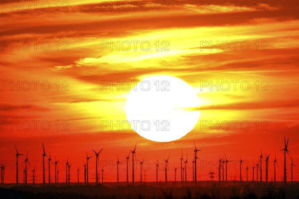 Sunset at a wind farm in Nauen in Brandenburg, 23/08/2022