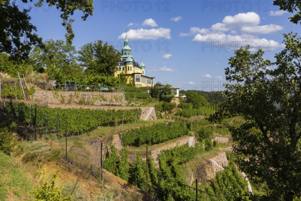 Weingut am Goldenen Wagen. The Spitzhaus is a former summer residence in the Saxon town of Radebeul