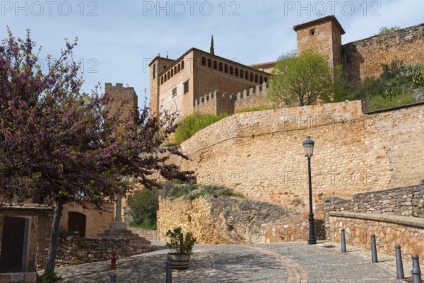 Historic fortress with stone walls and flowering trees along a cobbled path, Collegiate Church,