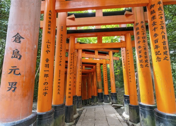 Torii path, Fushimi Inari-Taisha shrine, Kyoto, Japan, Asia