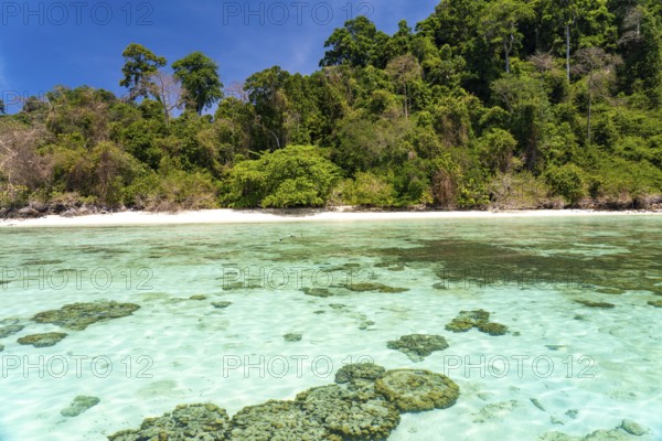 Coral reef on the dream beach of Ao-niang on the island of Koh Kradan in the Andaman Sea, voted the