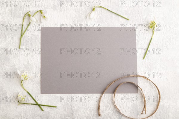Gray paper sheet mockup with spring snowdrop galanthus flowers on gray concrete background. Blank,