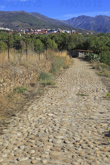 Ruta del Emperador, Route of the Emperor footpath, view to Aldeanueva de la Vera, Extremadura,