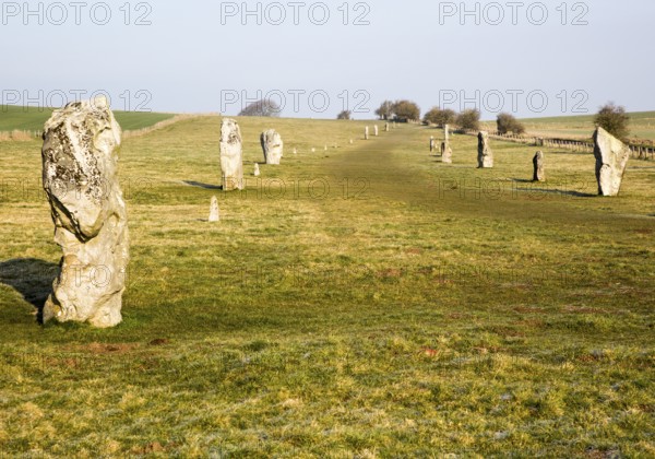 Lines of standing sarsen stones form the Avenue, Avebury World Heritage site, Wiltshire, England,