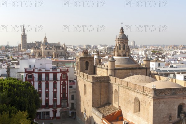 Cityscape view over rooftops towards the cathedral, Seville, Spain the Iglesia de la Anunciación in