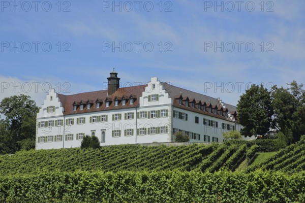 Baroque Hersberg Castle with vineyards, Immenstaad, Obersee, Lake Constance, Lake Constance region,