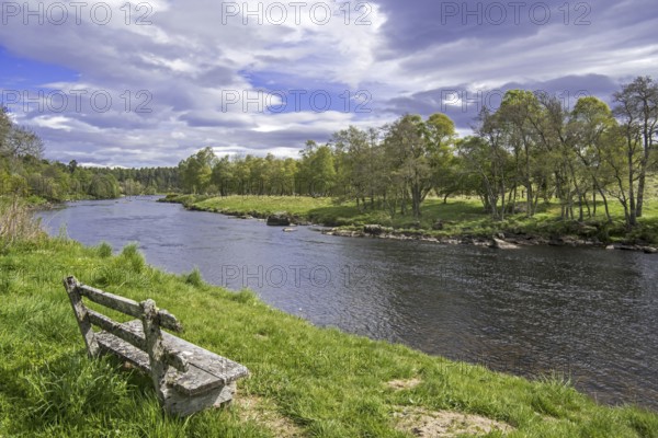 Old weathered wooden bench on riverbank along the river Spey in spring at Grantown-on-Spey,