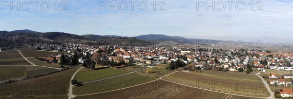 Aerial view of Wachenheim Pfalz, Germany, Europe