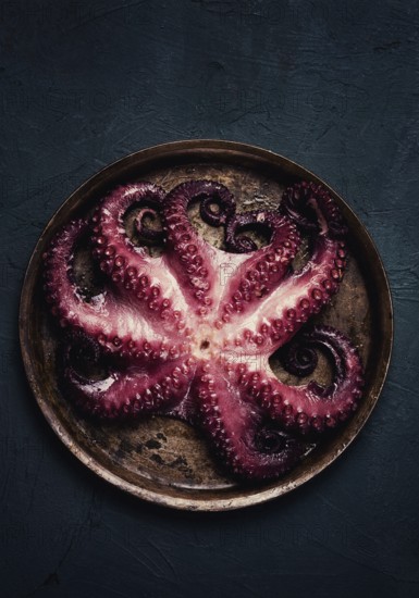 Boiled octopus, close-up, rustic style, no people, top view, close-up