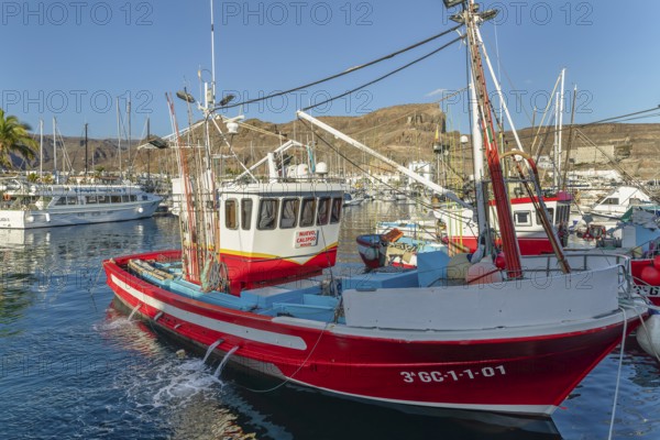 Fishing boats at the harbour, Puerto de Mogan, Gran Canaria, Canary Islands, Spain, Puerto de