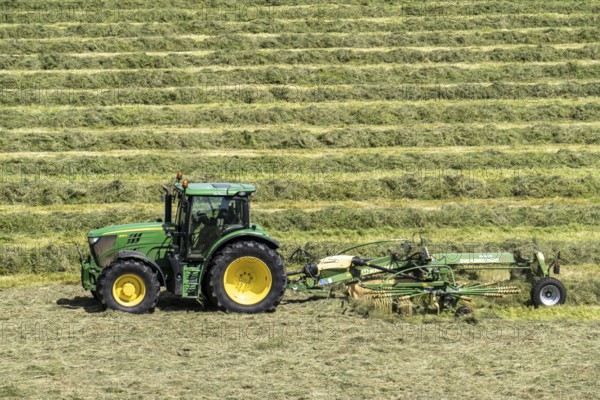 Hay harvest, in a meadow near Duisburg-Baerl, tractor with roundabout tedder, a hay tedder that