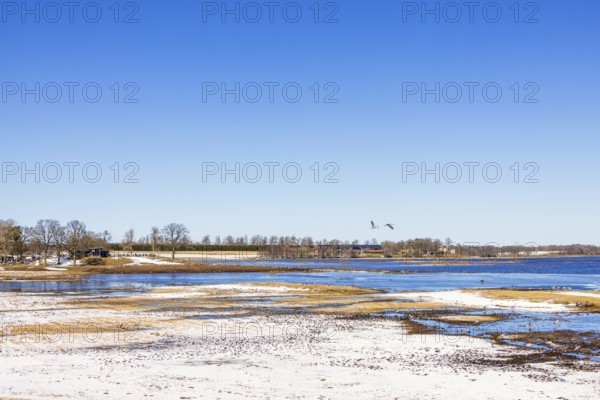 View at lake Hornborgasjön with cranes (Grus grus) and a visitor center with snow in early spring,
