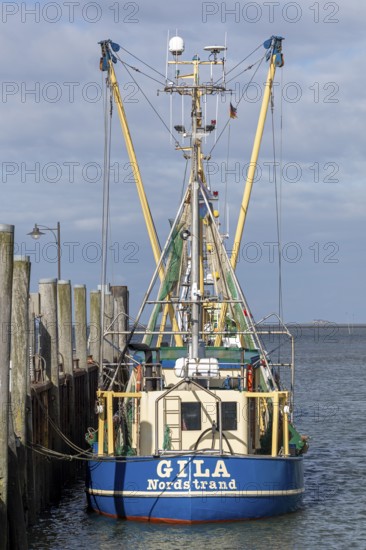 Fishing cutter, harbour, Strucklahnungshörn, Nordstrand, North Frisia, Schleswig-Holstein, Germany,