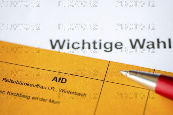 Ballot paper, ballot paper, election matter, AFD, regional election, district council election,