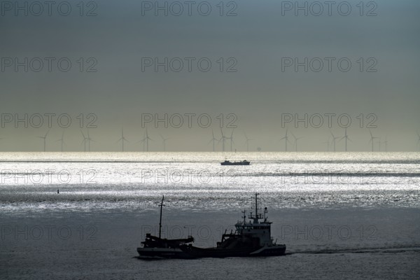 Shipping traffic off Zoutelande province of Zeeland, offshore wind farm, Walcheren peninsula,