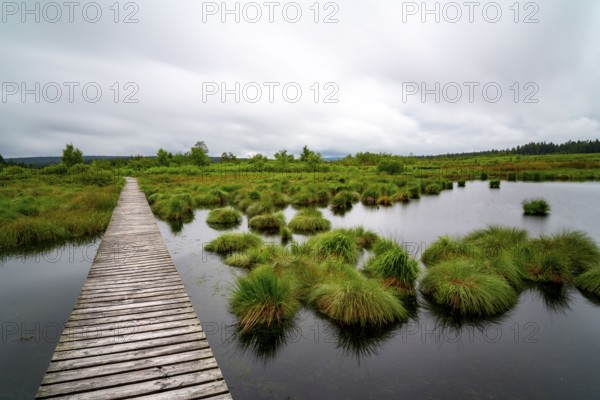 The High Fens, Brackvenn, raised bog, wooden plank hiking trail, in Wallonia, Belgium, on the