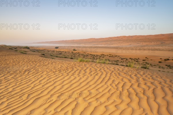 Sand dunes, Wahiba Sands desert, Sharqiya sand, Oman, Asia