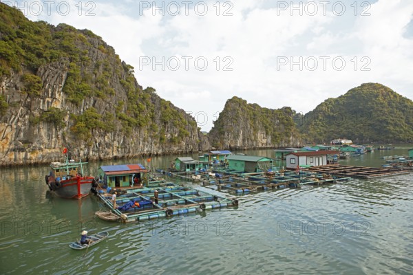 Floating fish farm and karst rocks in Lan Ha Bay, Halong Bay, Vietnam, Asia
