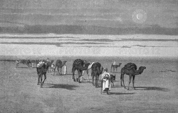 Caravan in the Sahara, Algeria, Historical, digitally restored reproduction from a 19th century