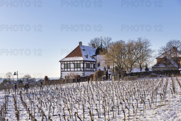The Höflößnitz winery is also a popular excursion destination in winter, Radebeul, Saxony, Germany,