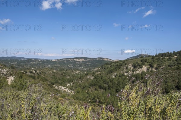 Landscape in the centre of Rhodes, Dodecanese archipelago, Greek islands, Greece, Europe