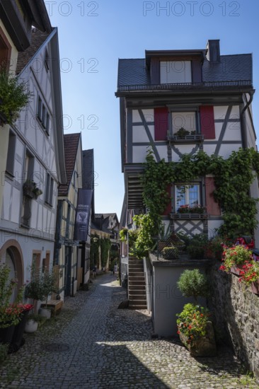 Altstadtgasse, Engelgasse, historic half-timbered buildings and sights in Gengenbach, Ortenaukreis,