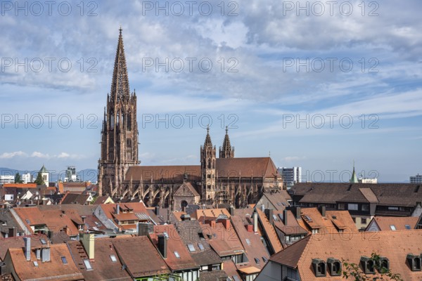 View over the roofs of the old town with Freiburg Minster, Freiburg im Breisgau, Baden-Württemberg,