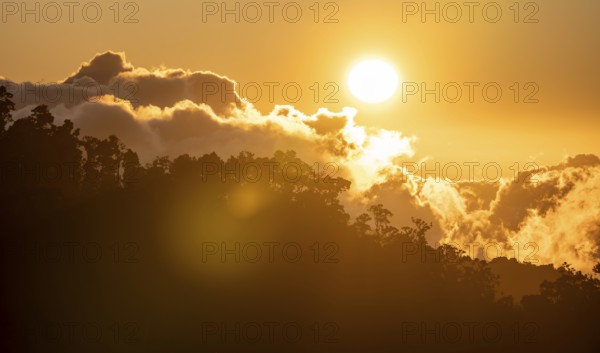 Evening mood, clouds over cloud forest, mountain rainforest, Parque Nacional Los Quetzales, Costa