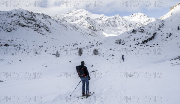 Ski tourers ascending in the rear Martell Valley, snow-covered mountain peak Monte Cevedale behind,