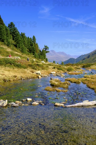 Staller Almbach, Staller Sattel, Defereggen Valley, East Tyrol, Austria, Europe