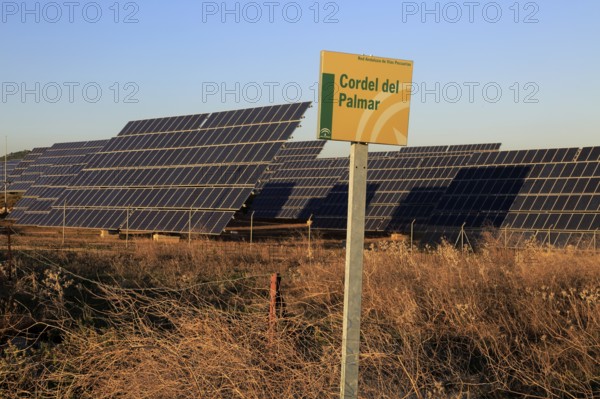 PV solar array at Cordel del Palmar, near Vejer de la Frontera, Cadiz province, Spain, Europe