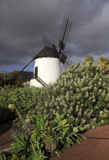 Windmill and garden at Centro de Artesania Molinos de Antigua, Fuerteventura, Canary Islands,