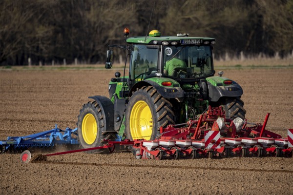 Sugar beet being sown in spring, precision sowing with precision seed drill, behind a tractor,