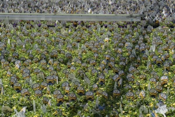 Horticultural business, greenhouse, various types of potted plants are grown here to be sold in
