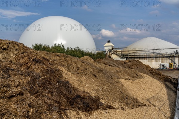 Biogas plant, gas storage, with dome, use of solid manure as energy source, storage area, on a farm