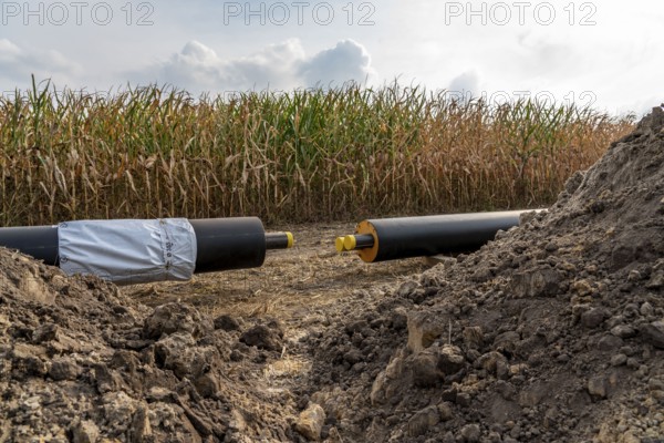Laying of district heating pipes, next to a field, with maize, the district heating comes from a