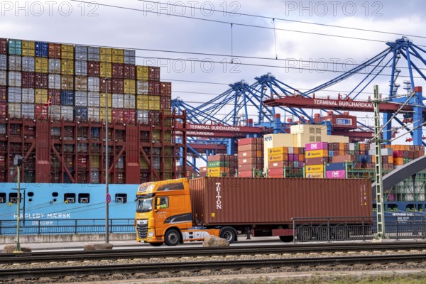 Port of Hamburg, Waltershofer Hafen, container ships, lorries bring and collect freight containers