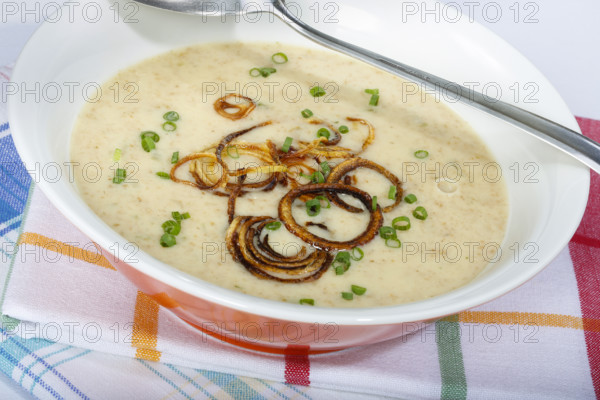 Swabian cuisine, green spelt soup, healthy, vegetarian, regional, soup served in a bowl, home