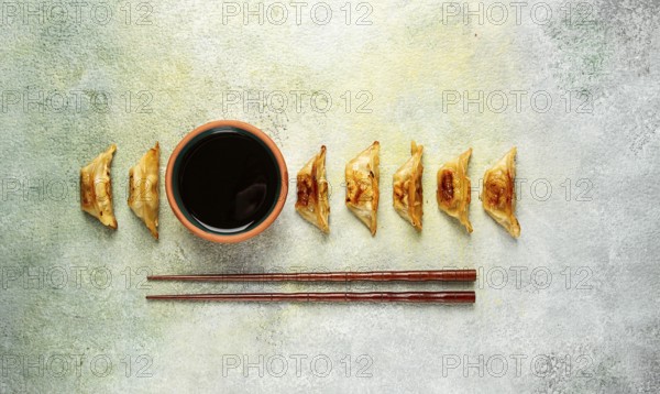 Japanese fried dumplings, gyoza, sesame seeds, top view, no people