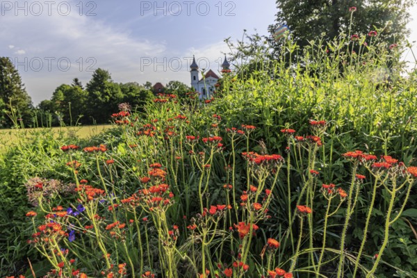 Colourful flowers in front of the church towers of a monastery against the light, spring, sunny,