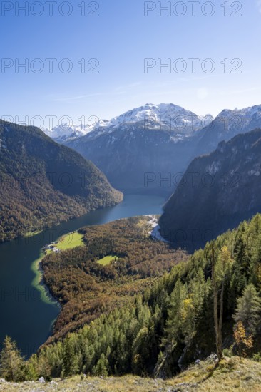 View of the Königssee with St. Bartholomä church, from the Rinnkendlsteig mountain hiking trail,